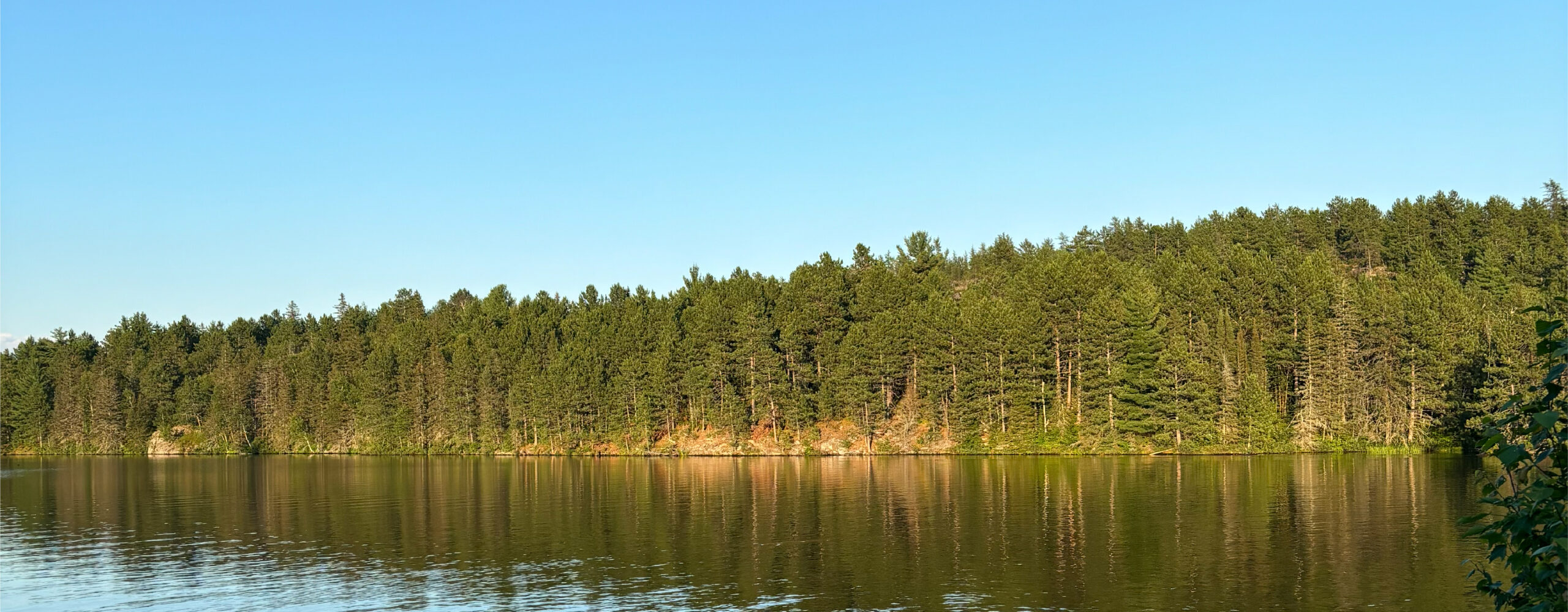 Northern Ontario Shoreline